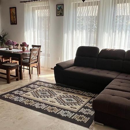 Casa Tudorescu 호레주 외부 사진